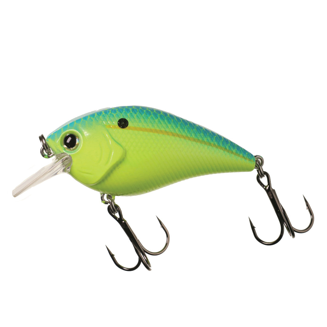 XB-1 Deep Knock Squarebill